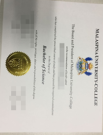 The fake diploma of Malaspina University-College.