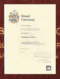 How to Buy 100% Replica Brunel University PGCE Cert