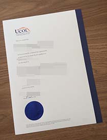 Lost Diploma, Why Don't Choose to Buy Replica UCOL 