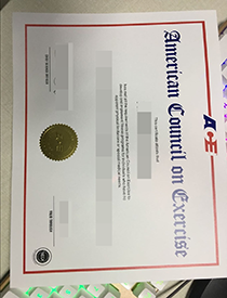 ACE (American Council on Exercise) Certificate. Buy