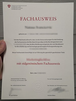 How much is a fake Swiss Eidgenössischem Fachauswe