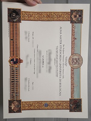 How many people buy a phony UNIBO diploma in Italy 