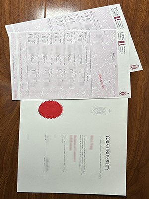 How much does to buy a fake York University diploma