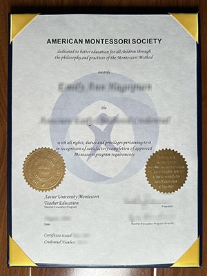 Is it possible to buy a fake American Montessori So