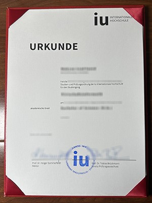 Is it possible to buy a fake IU Internationale Hoch