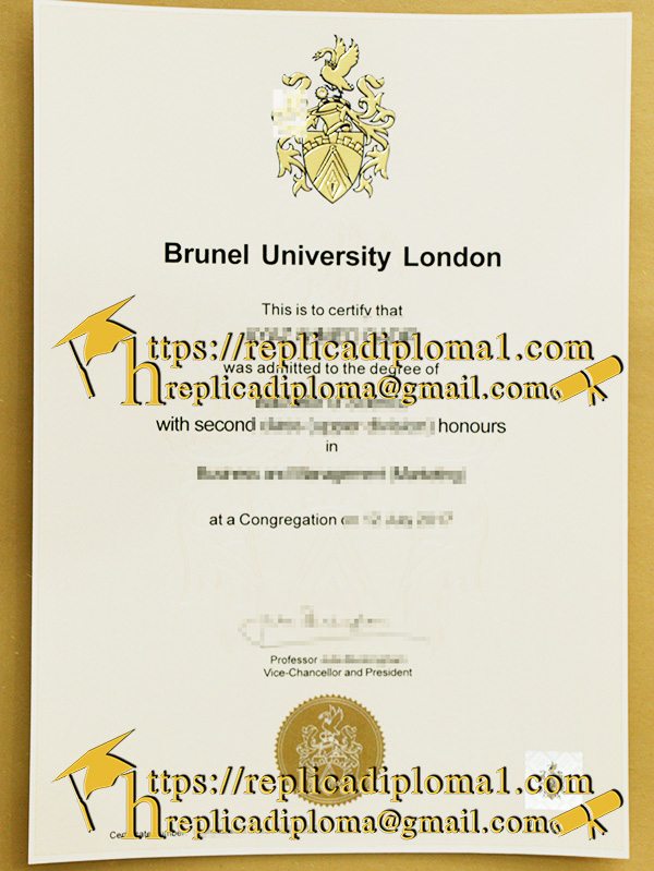 degree of Brunel University London