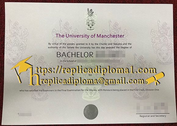 University of Manchester degree