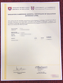 How Can I Buy Fake Singapore A level Certificate on