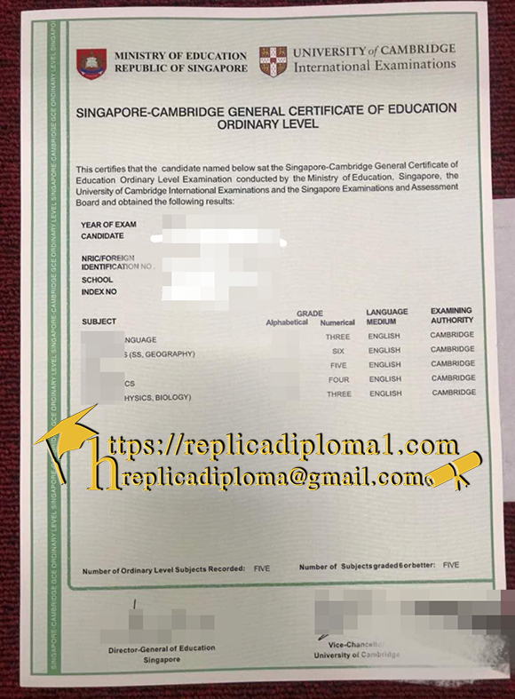 singapore cambridge GCE O level certificate