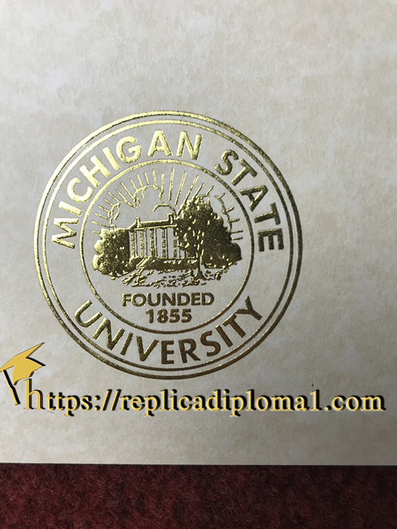 diploma of Michigan State University