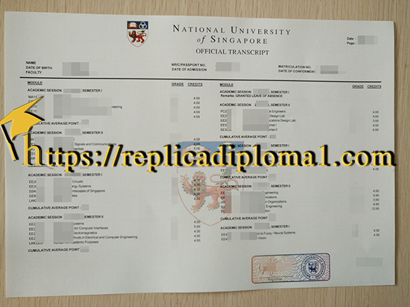 NUS transcript, National University of Singapore transcript 