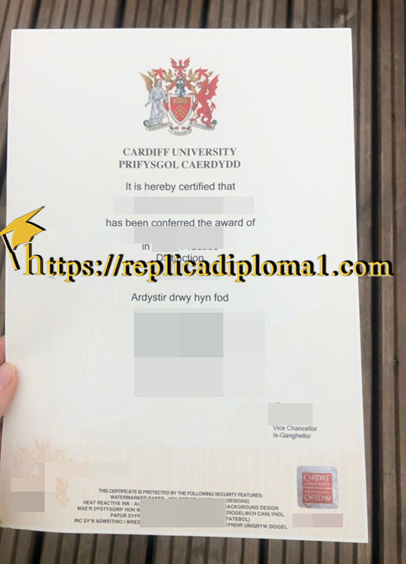 Cardiff University Degree