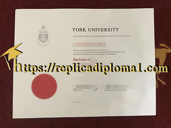 York University Degree